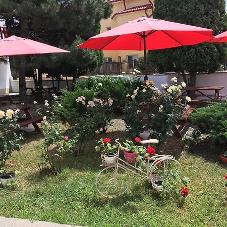Pensiunea Acf Tineretului Hotel Costineşti Exterior foto